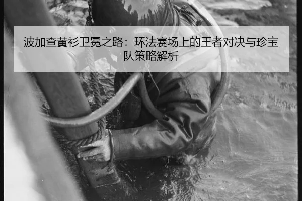 bo-jia-cha-huang-shan-wei-mian-zhi-lu-huan-fa-sai-chang-shang-de-wang-zhe-dui-jue-yu-zhen-bao-dui-ce-lve-jie-xi-3-953.jpg