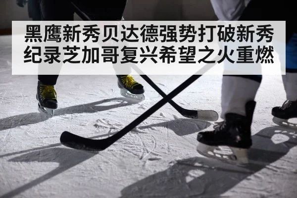 黑鹰新秀贝达德强势打破新秀纪录芝加哥复兴希望之火重燃